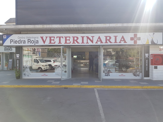 Veterinaria Piedra Roja - Veterinario
