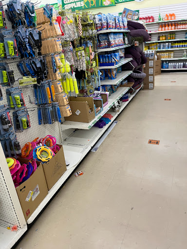Dollar Store «Dollar Tree», reviews and photos, 2305 Colorado Blvd, Denton, TX 76205, USA
