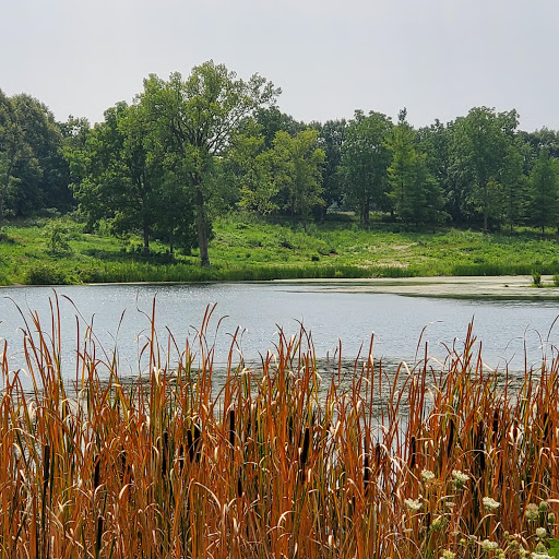 Nature Preserve «Lakewood Forest Preserve», reviews and photos, 27277 N Forest Preserve Rd, Wauconda, IL 60084, USA