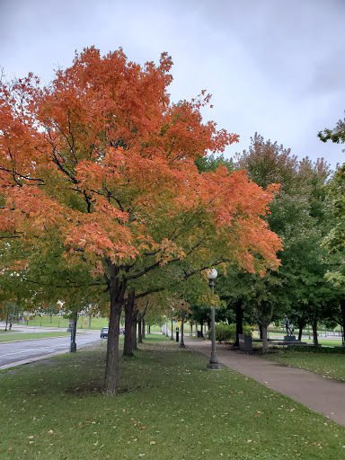 State Government Office «Minnesota State Capitol», reviews and photos, 75 Rev Dr Martin Luther King Jr Boulevard., St Paul, MN 55155, USA