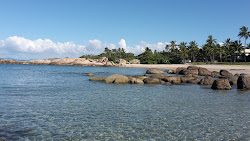 Photo de Rose Bay Beach avec un niveau de propreté de très propre