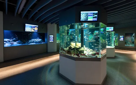 Øresund Aquarium image