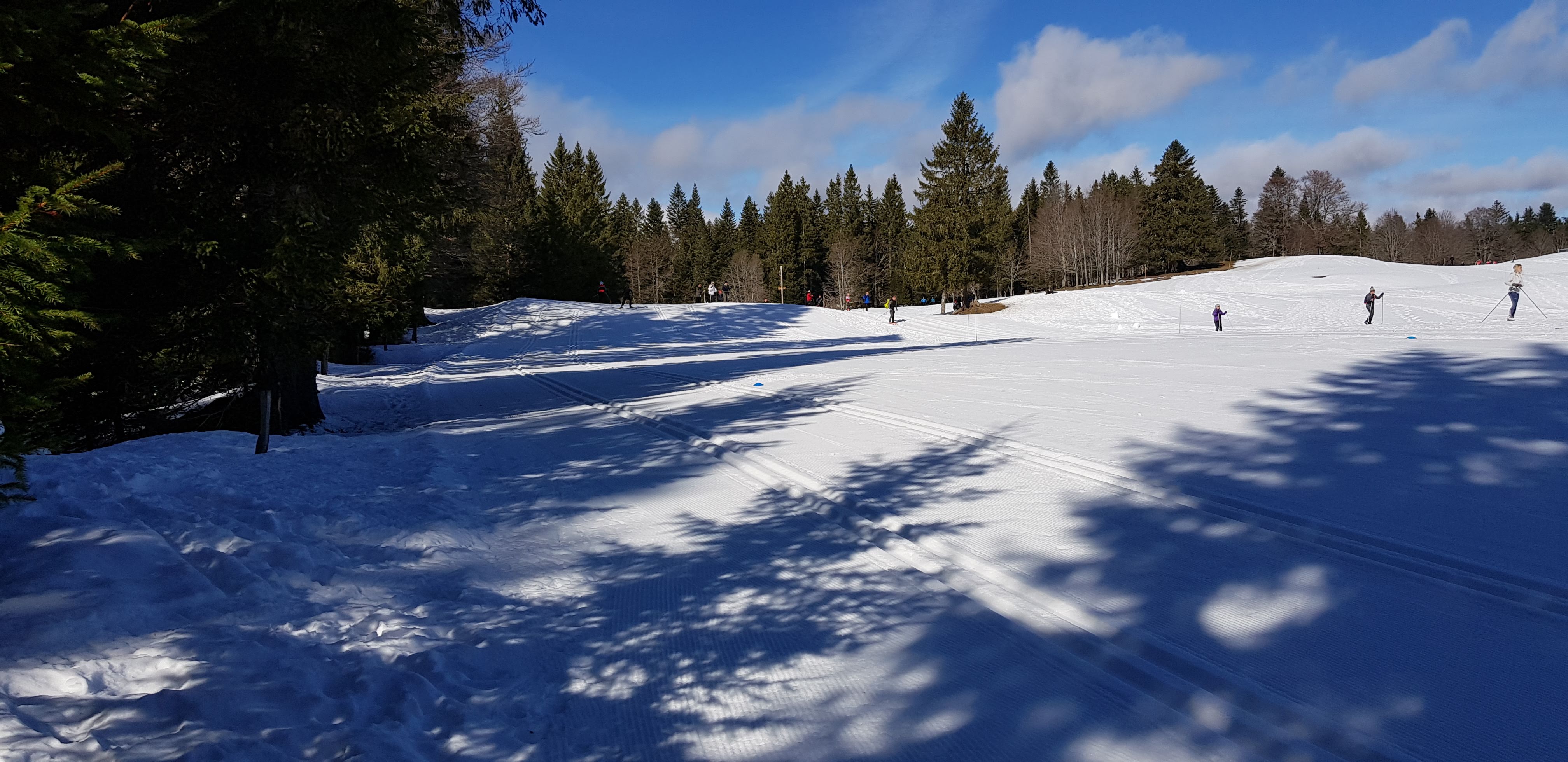 Photo n° 4 de l'avis de David.E fait le 28/02/2020 à 00:18