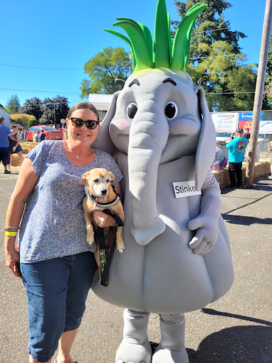 Park «Jessie Mays Community Center», reviews and photos, 30975 NW Hillcrest St, North Plains, OR 97133, USA