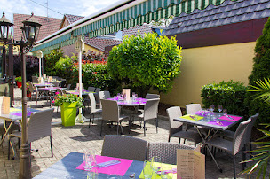 Photo n°101 de la carpe à Souffelweyersheim ()