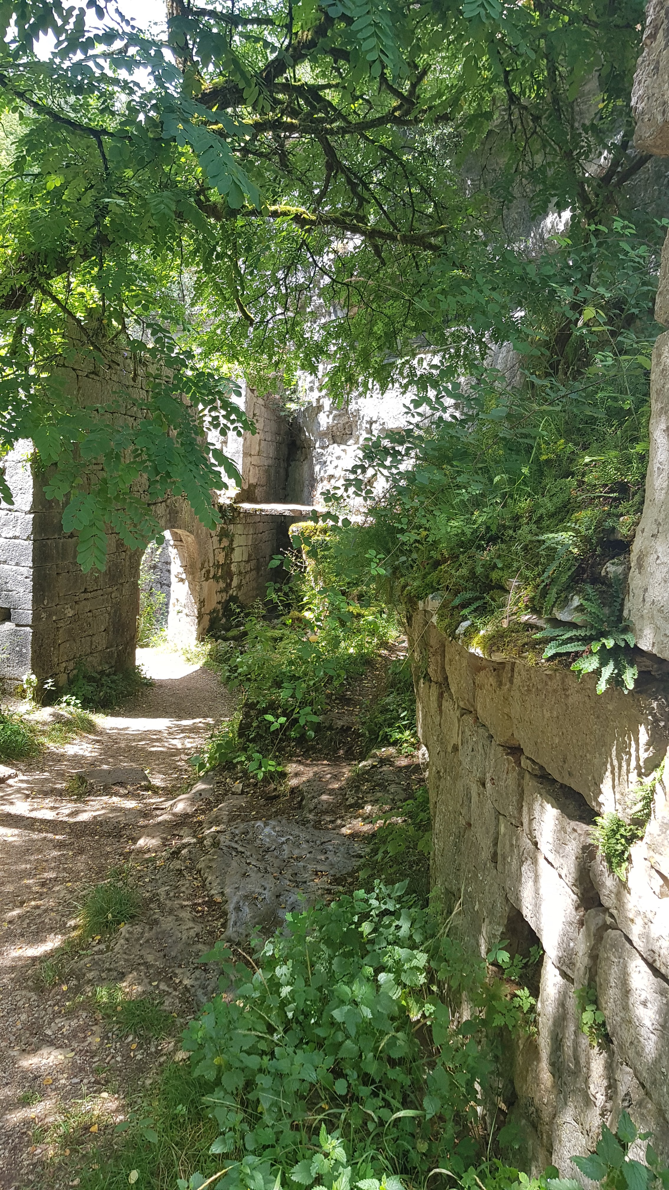 Photo n° 5 de l'avis de Aur.o fait le 05/08/2021 à 14:31
