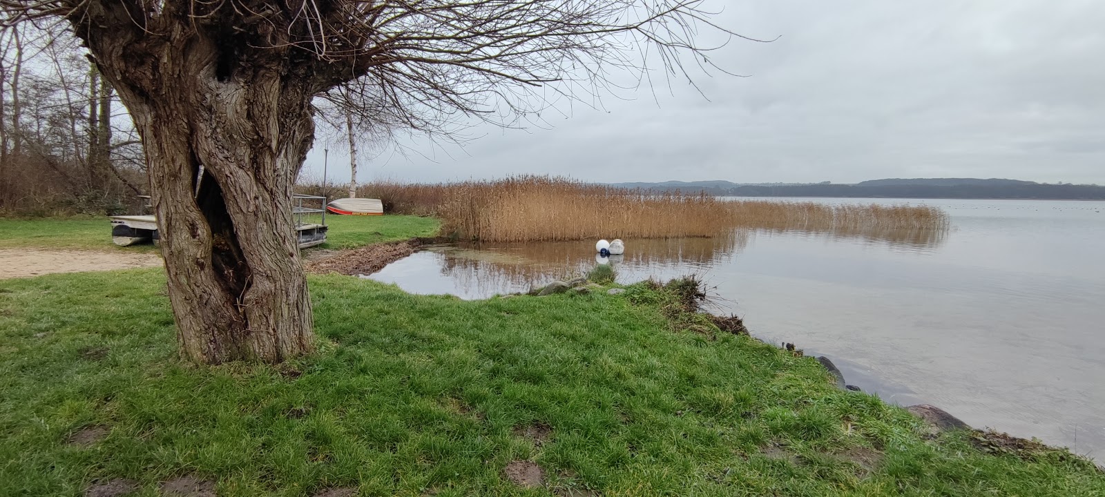 Foto von Badestelle Gross Sarau und die siedlung