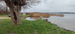 Badestelle Gross Sarau photo #6