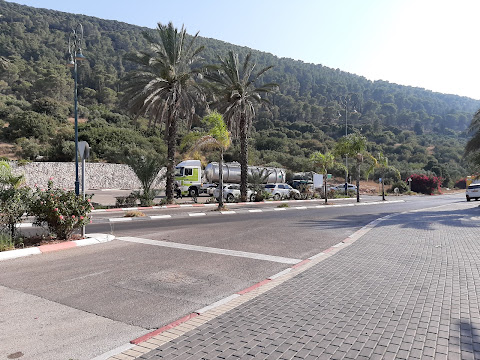 תמונה