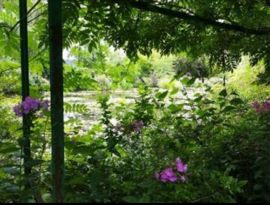 Photo n° 12 de l'avis de Au.r fait le 09/05/2022 à 10:38