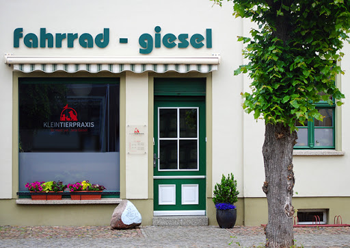 Jana Giesel unter Ziesar, 