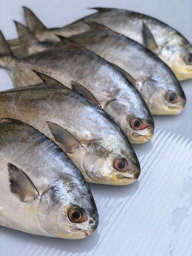 Mar y Tierra - Venta de Pescado en Querétaro - Mayoreo y menudeo Pescado y Mariscos