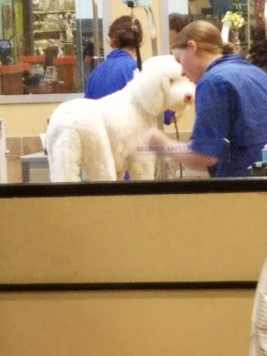 Pet Supply Store «PetSmart», reviews and photos, 1733 S Stapley Dr, Mesa, AZ 85204, USA