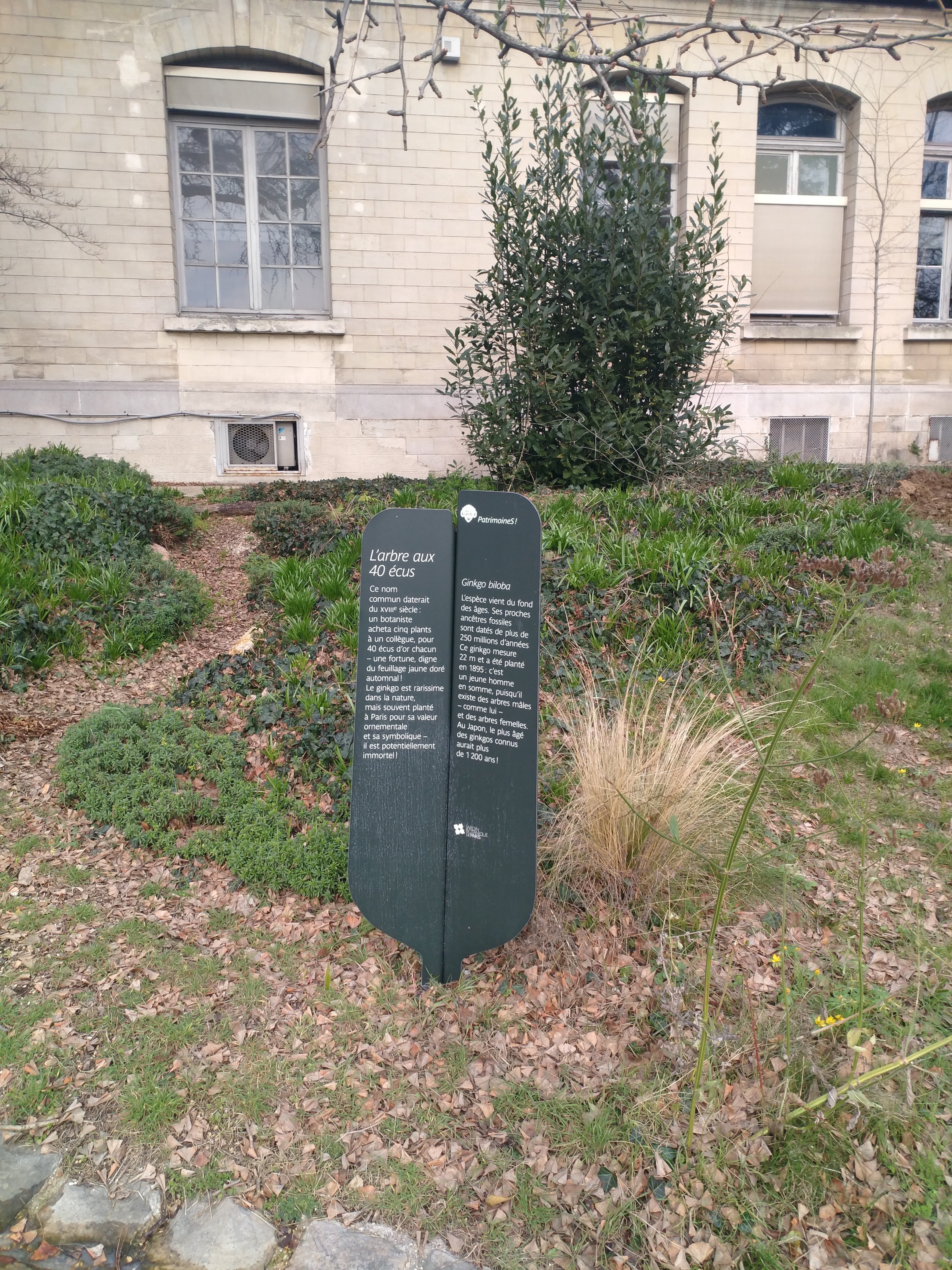 Photo n° 4 de l'avis de Lippert.a fait le 23/02/2021 à 16:54