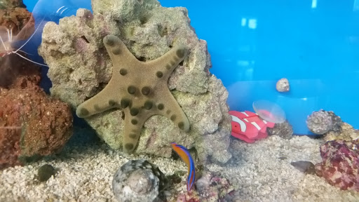 Pet Supply Store «Petco Animal Supplies», reviews and photos, 5631 Grove Blvd, Hoover, AL 35226, USA