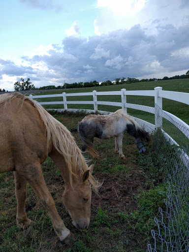 Wedding Venue «Brandy Hill Farm», reviews and photos, 18404 Bel Pre Rd, Culpeper, VA 22701, USA