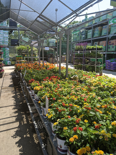 Home Improvement Store «The Home Depot», reviews and photos, 288 Daniel Webster Hwy, Nashua, NH 03060, USA