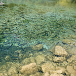 Photo n°6 de l'avis de P8. fait le 20/06/2019 à 08:36 sur le  Ristorante Rio Argento à Malborghetto Valbruna