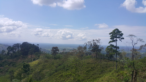 Parque Nacional Cusuco