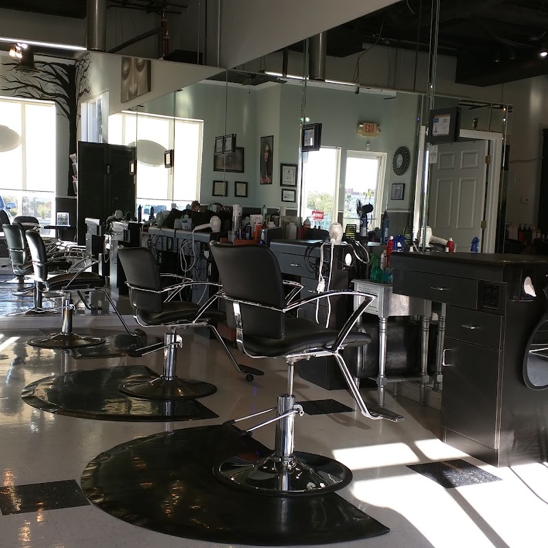 Amazing Cuts & Color Hair Salon