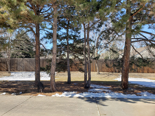 Electronics Store «Best Buy», reviews and photos, 5395 S Wadsworth Blvd, Littleton, CO 80123, USA