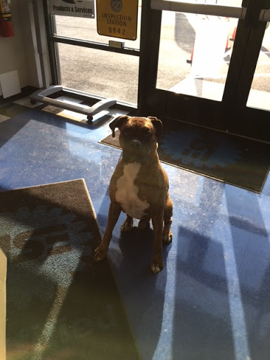 Auto Repair Shop «Chaney Tire & Auto», reviews and photos, 3298 Superior Ln, Bowie, MD 20715, USA