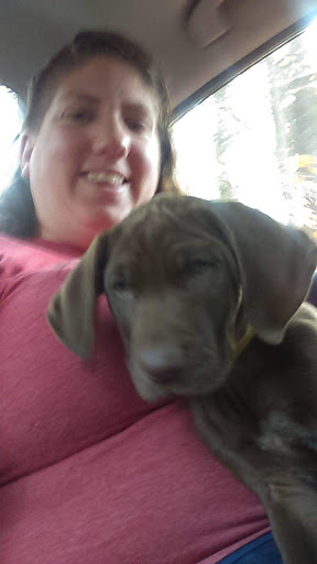 Pet Supply Store «Petco Animal Supplies», reviews and photos, 35 Fort Eddy Rd, Concord, NH 03301, USA