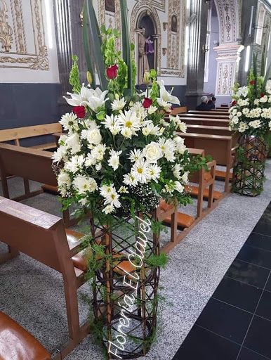 Florería El Clavel – El Oro de Hidalgo