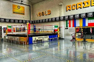 A.S.D Gold Academy Boxing Team image