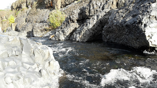 Oroville Feather Falls Casino KOA Journey image