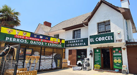 Farmacia Veterinaria El Corcel - Las Condes