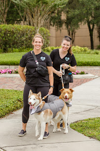 FairyTail Pet Care West Palm Beach - Photo 5 - Car repair in , West Palm Beach