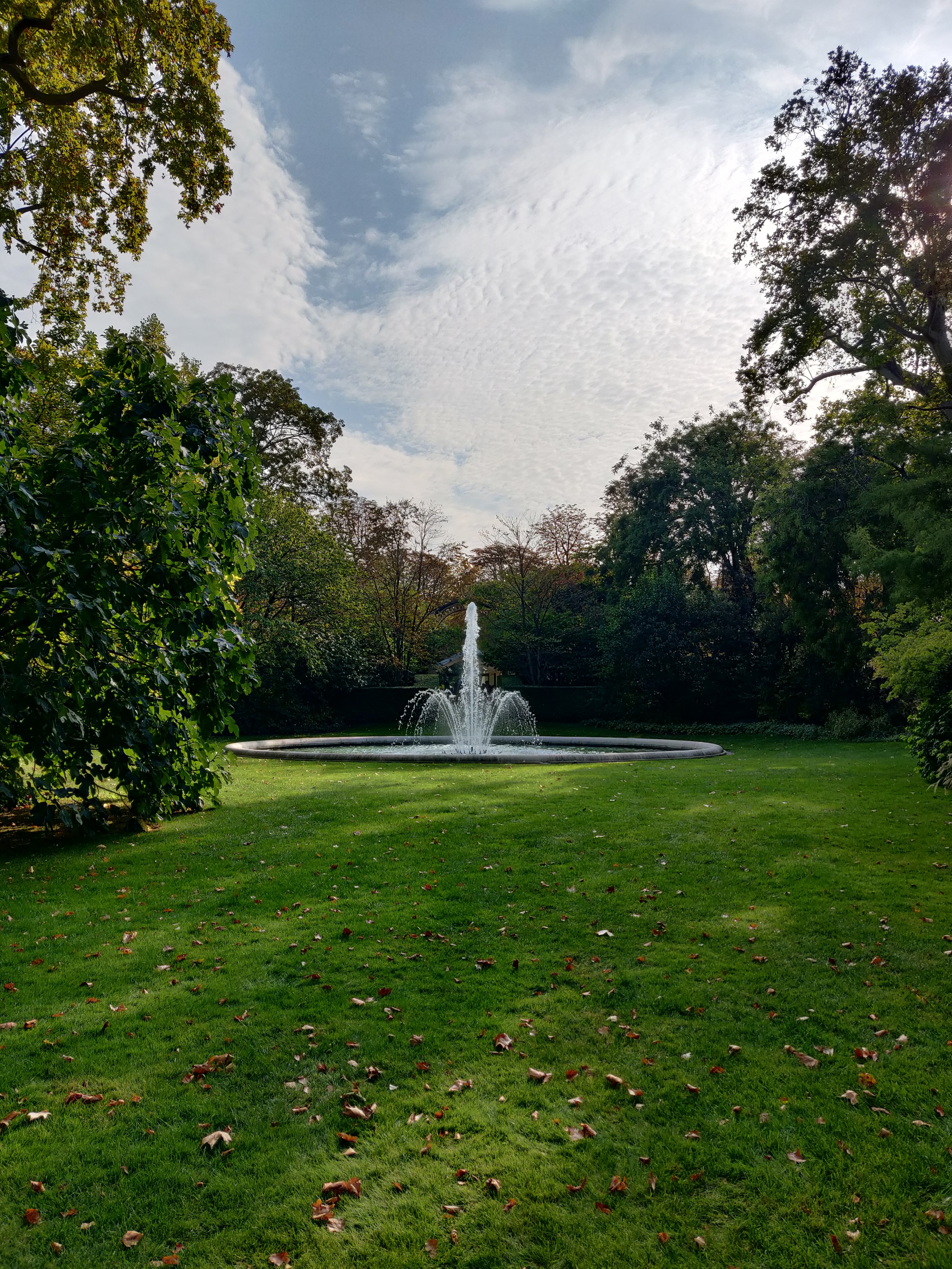 Photo n° 2 de l'avis de Nicolas.e fait le 20/09/2020 à 17:12