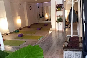 Indra Yoga Mindfulness Institute image