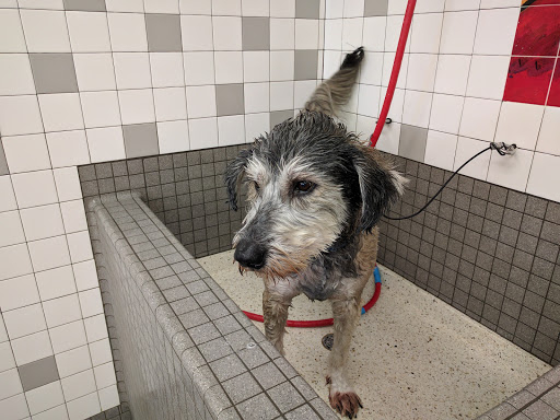 Pet Supply Store «Pet Food Express», reviews and photos, 383 S McDowell Blvd, Petaluma, CA 94954, USA