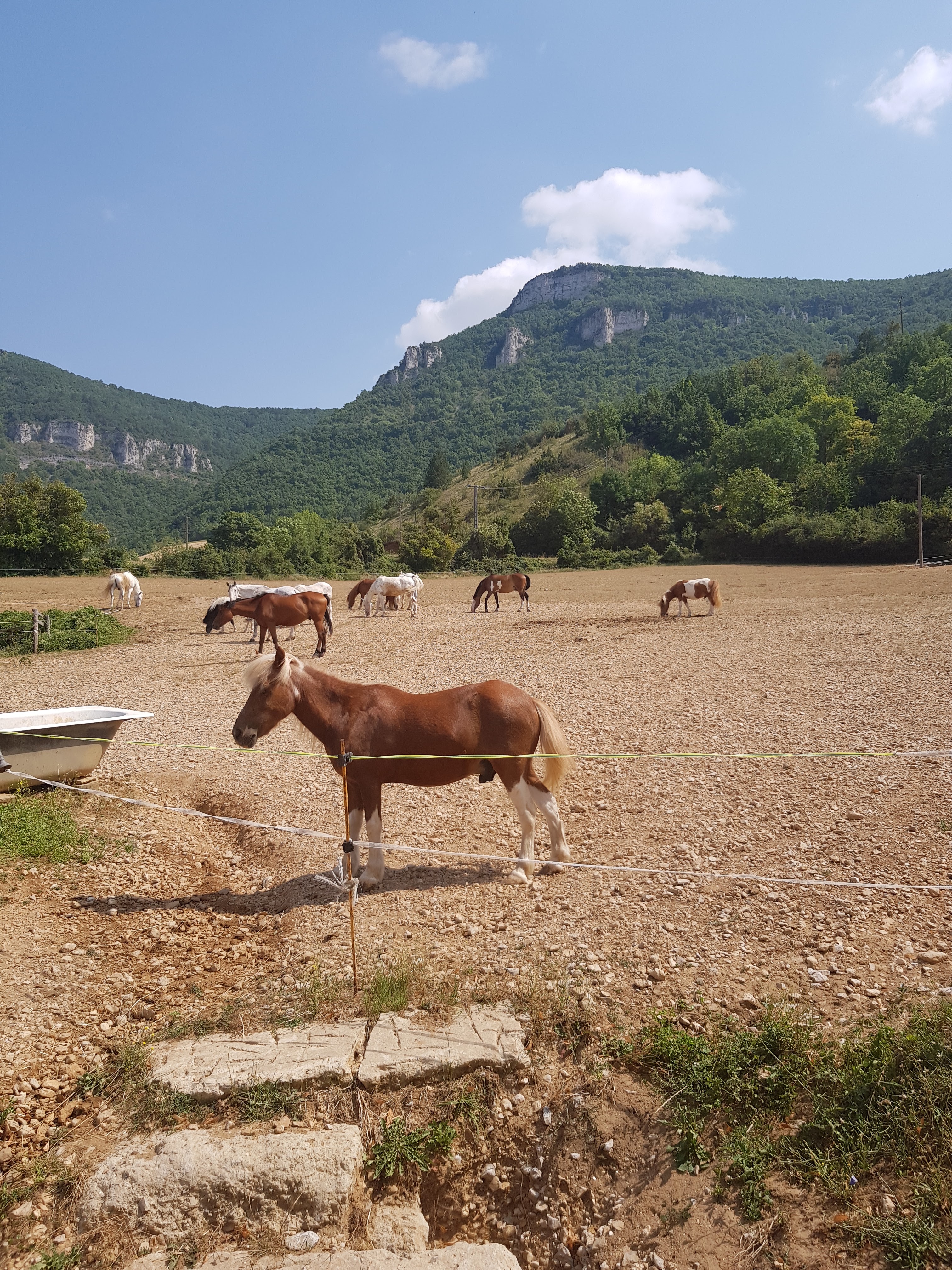 Photo n° 1 de l'avis de Aventure. fait le 25/07/2022 à 12:13