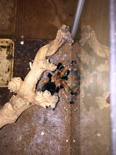 Pet Store «Critter Hut Aquarium & Pets», reviews and photos, 6637 Post Rd, North Kingstown, RI 02852, USA