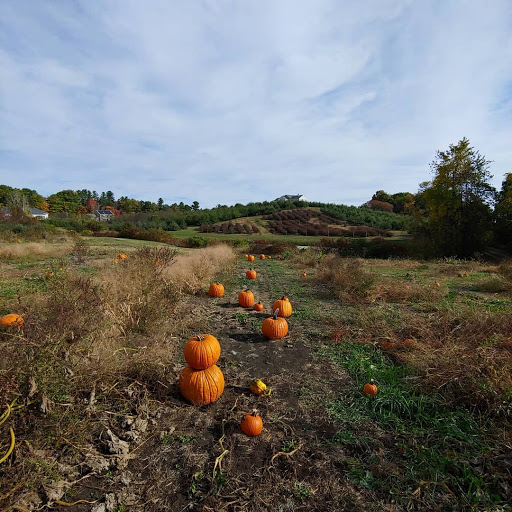 Orchard «George Hill Orchards», reviews and photos, 582 George Hill Rd, South Lancaster, MA 01561, USA