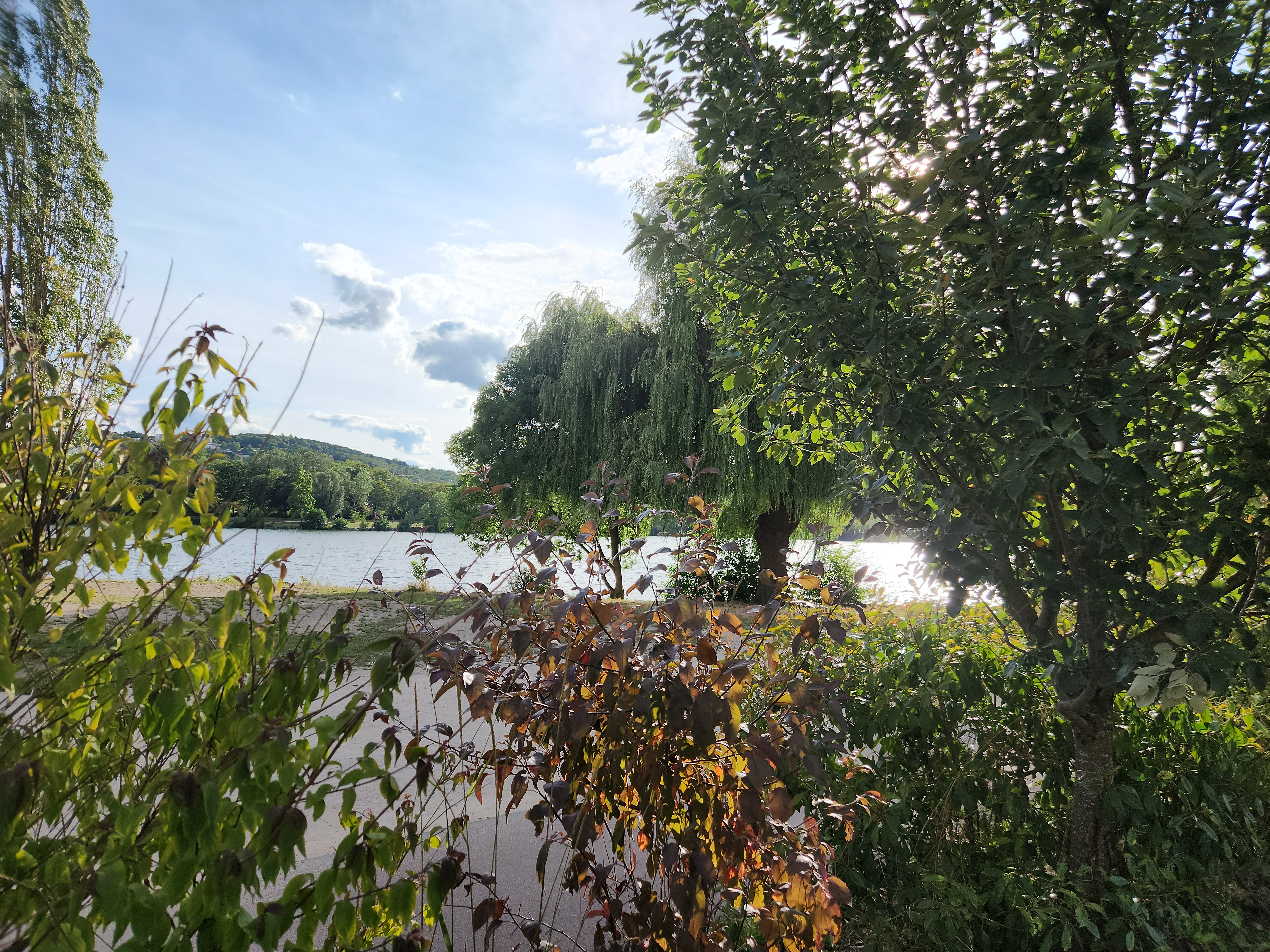 Photo n° 1 de l'avis de Mireillelamy004598@gmail.com.i fait le 03/09/2023 à 20:12