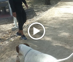 Fracc. San Isidro C. Park photo