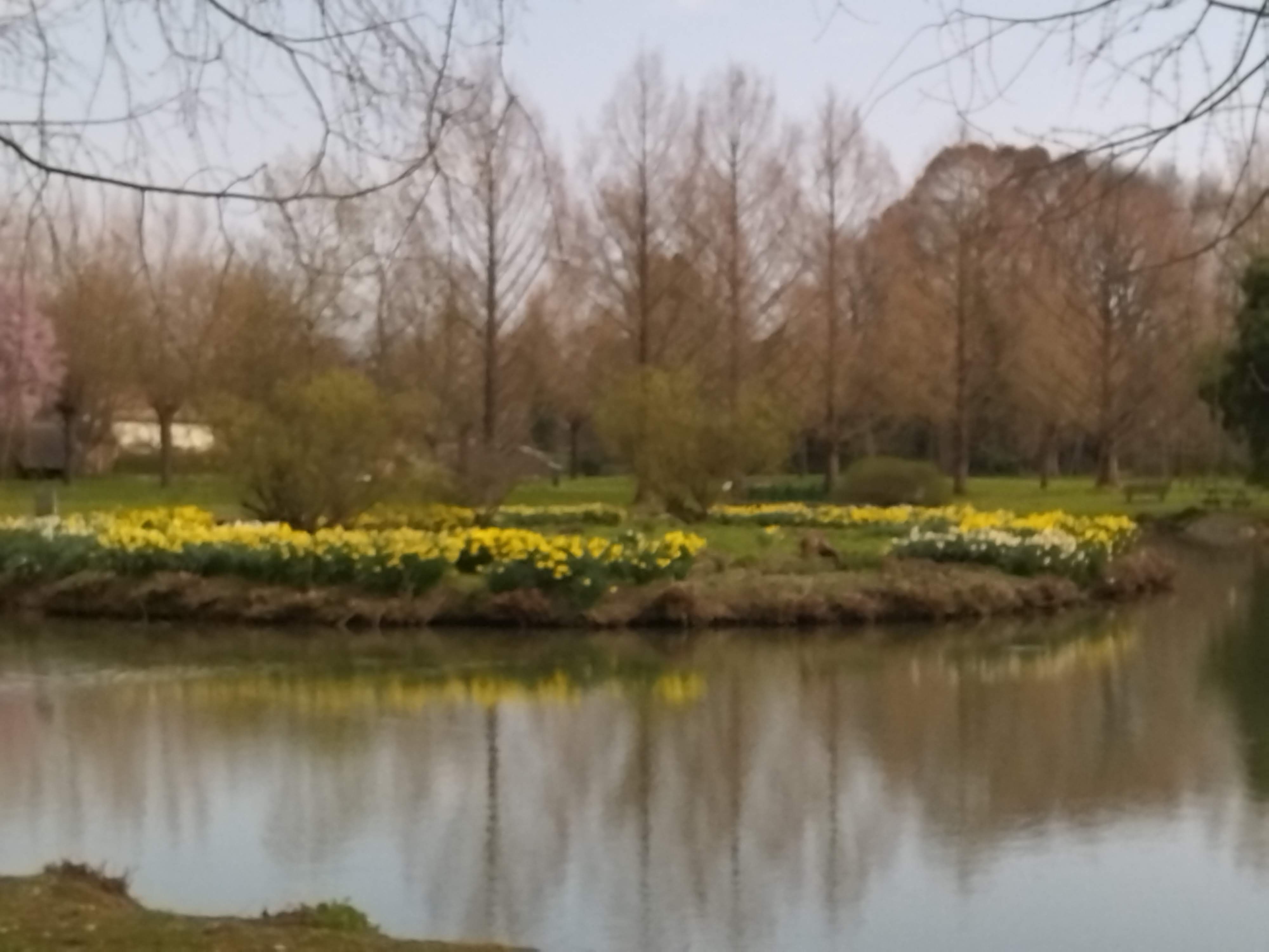 Photo n° 2 de l'avis de Marie.a fait le 20/03/2022 à 16:32
