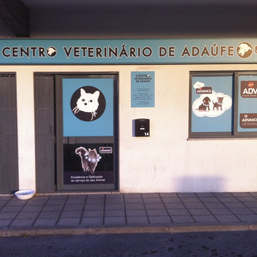 Avaliações doCentro Veterinário de Adaúfe em Braga - Veterinário