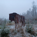 Photo n°1 de l'avis de j. fait le 15/12/2022 à 20:23 sur le  Wisent-Hütte à Bad Berleburg