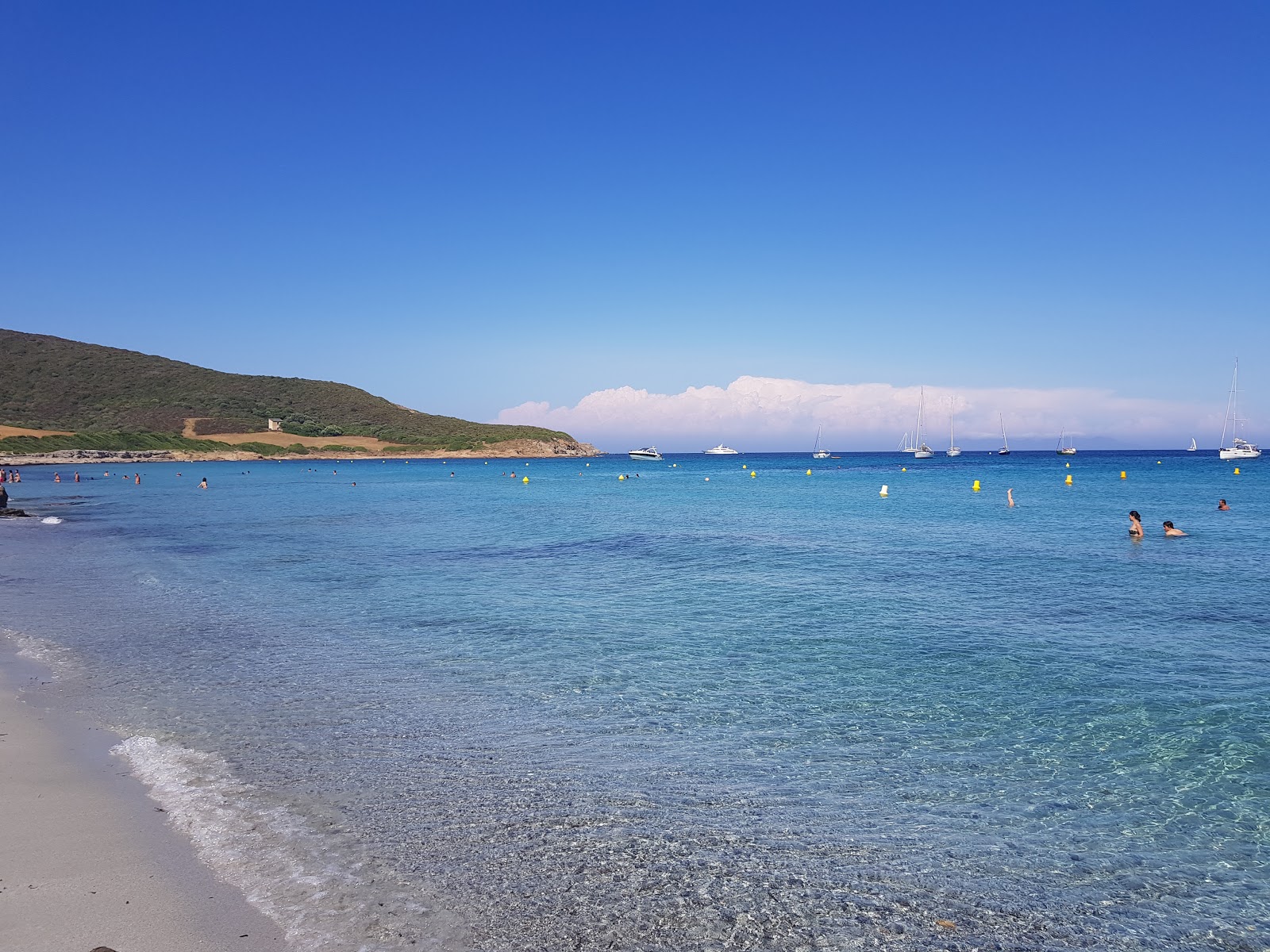 Φωτογραφία του Plage De Tamarone και το όμορφο τοπίο του