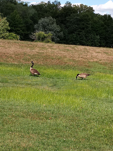 Park «Fancher Davidge Park», reviews and photos, 130 Lake Ave, Middletown, NY 10940, USA