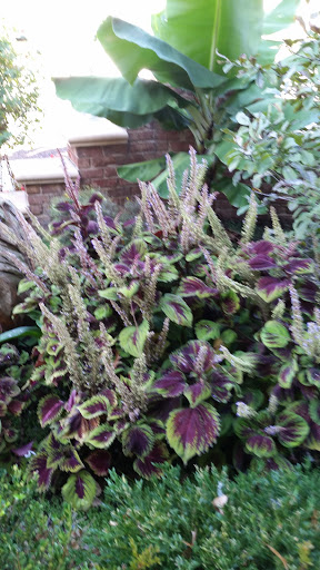 Caterer «Prive», reviews and photos, 813 Annadale Rd, Staten Island, NY 10312, USA