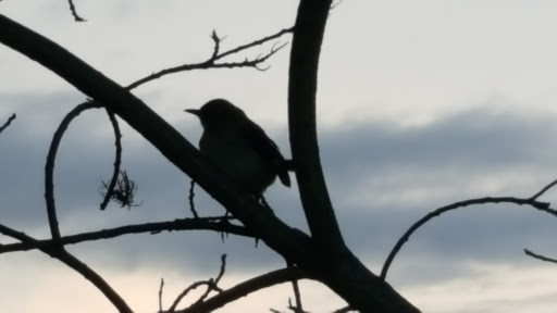 Recreation Center «Secaucus Rec Center Services», reviews and photos, 1200 Koelle Blvd, Secaucus, NJ 07094, USA