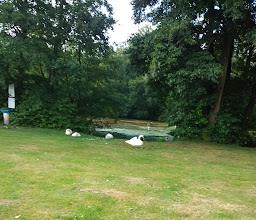 Kleingärtnerverein Neue Scholle photo