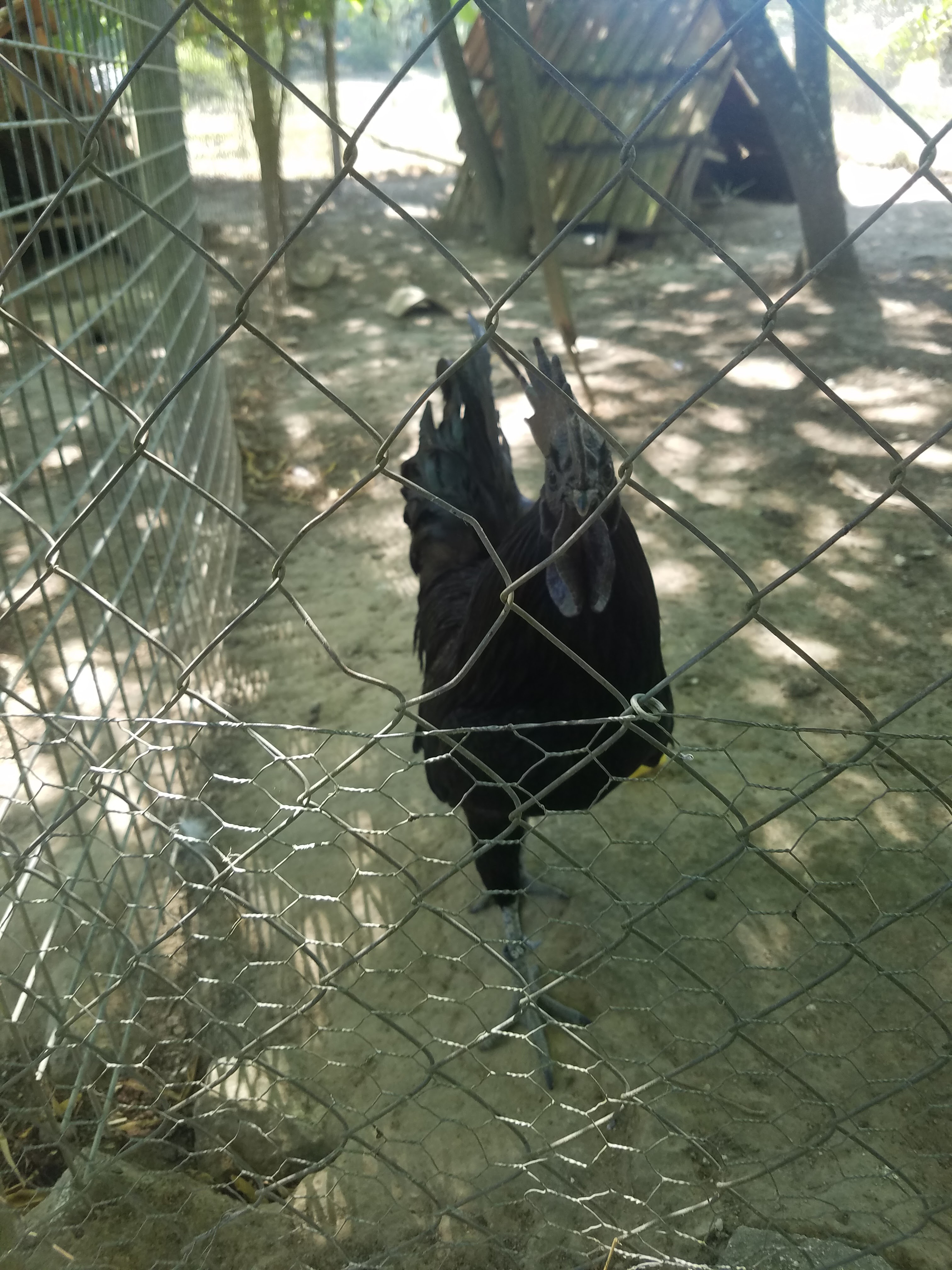 Photo n° 8 de l'avis de Jenny.o fait le 03/08/2018 à 15:13