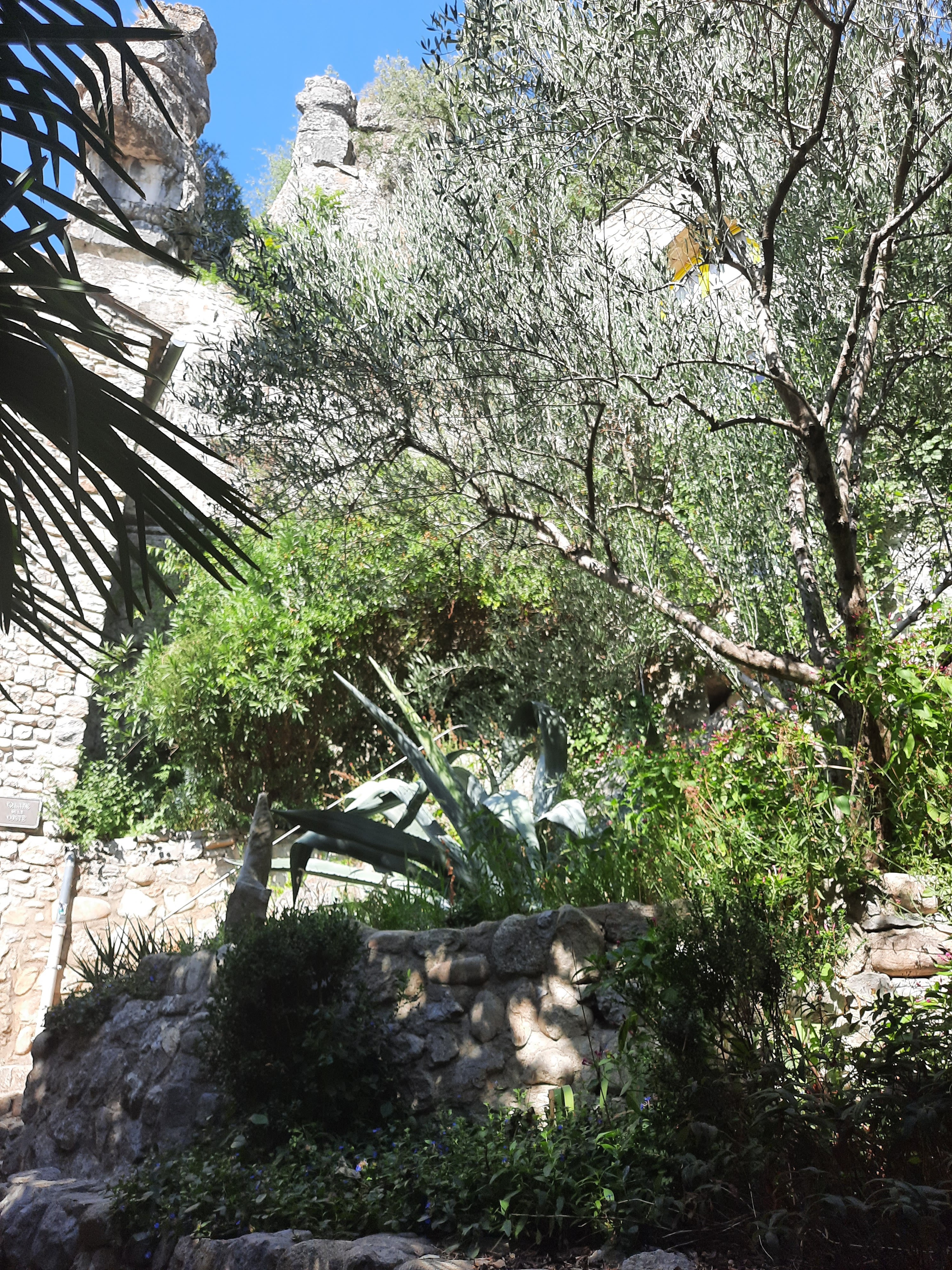 Photo n° 5 de l'avis de Bogumila.t fait le 26/08/2022 à 16:35